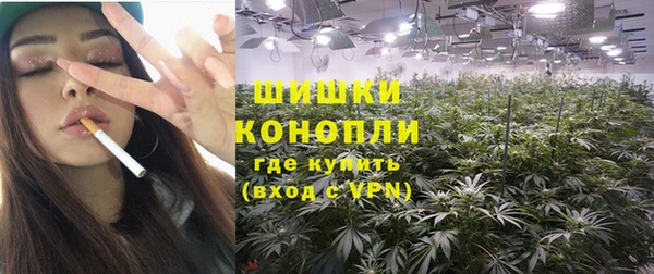 мяу мяу мука Аркадак