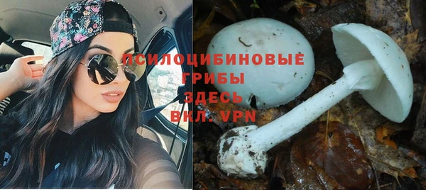 кокаин перу Арсеньев